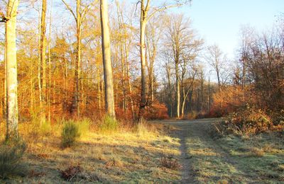 carrefour_Route Tournante de l'Etang Saint-Jean_Chemin des Meuniers