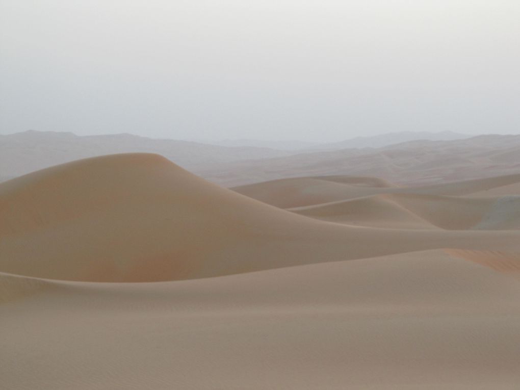 Quelques photos de nos escapades dans le désert autour de Dubaï