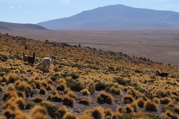 Bolivie tu te mérites !!!!!