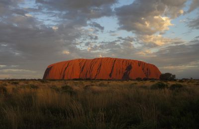 Ayers rock : Uluru et kings canyon