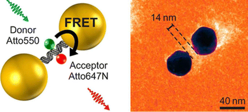 Competition between Förster Resonance Energy Transfer and Donor Photodynamics in Plasmonic Dimer Nanoantennas