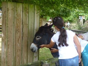 Zoo de Beauval