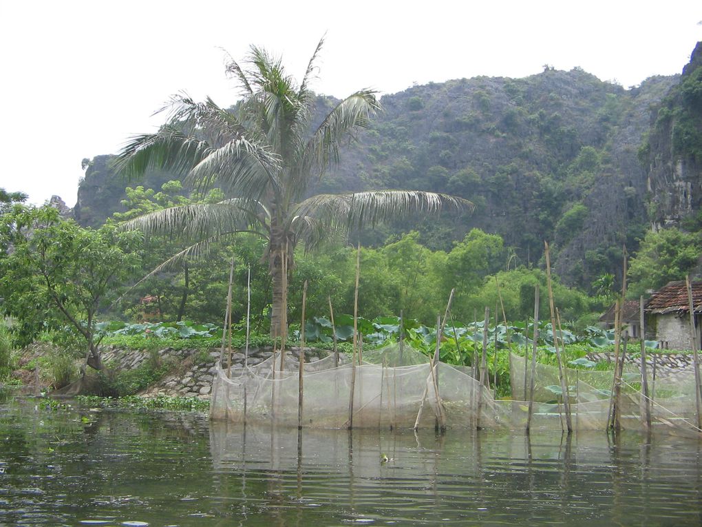 Album - Ninh-Binh--Tam-Coc--Hoa-Lu-