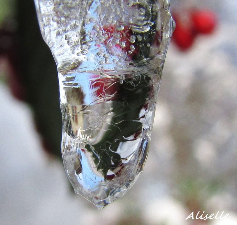 Album - givre--glace- neige