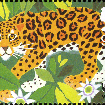 Le léopard (panthère, jaguar)