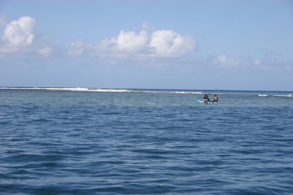 Sortie baleine