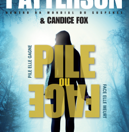 Pile ou face (Detective Harriet Blue #2) by James Patterson & Candice Fox 