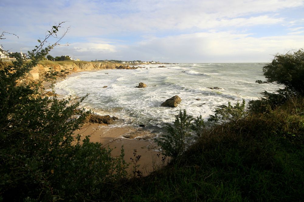 Hiver en Loire-Atlantique - Photos Thierry Weber Photographe La Baule Guérande