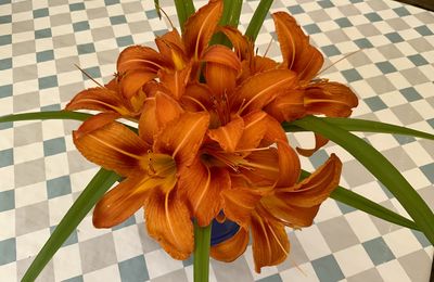 Votre bouquet du Dimanche 15 Juin 
