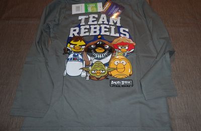 Angry Birds Star Wars Tee shirt manches longues gris