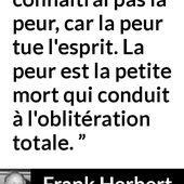 La peur et la politique - Le Bondosage