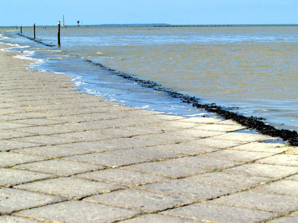 Album - Vendée Mai 2006