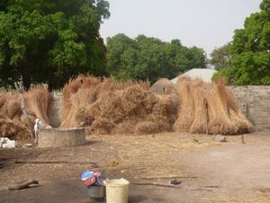 L'habitation Peul