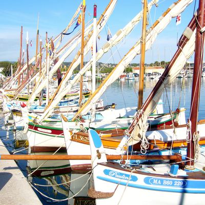 bon vent aux jolis "pointus" de La Ciotat (13)