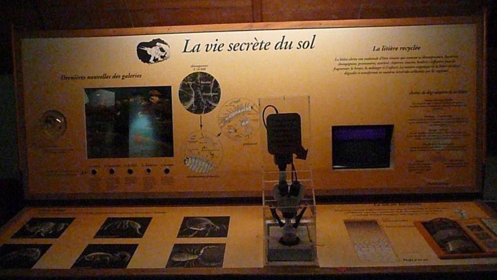 Album - MUSEE-D-HISTOIRE-NATURELLE