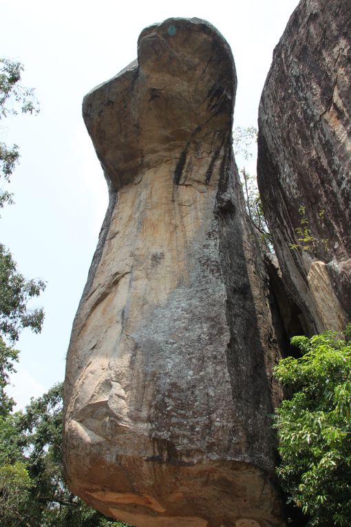 LION ROCK 

il suffit de monter qq marches et en un clin d'oeil vous voila sur le toit du monde!