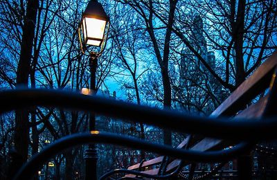 Nuit - Lumière - Lampadaire - Banc - Picture - Free