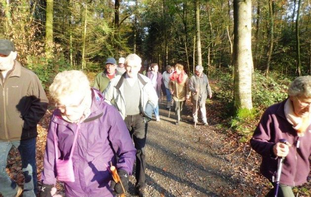 Marche du 23/11/2015 dans le bois de Plédran