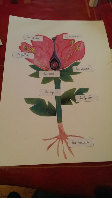 Les enfants ont ensuite créé une très jolie fleur grâce au lien donné par Croque la vie en rose. 