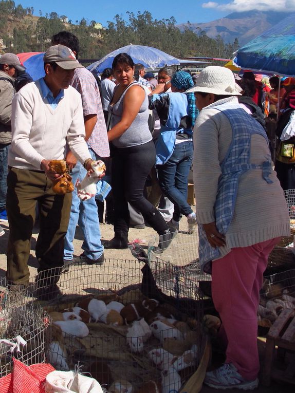 L'Equateur a décidément tout à vous offrir pour 3 semaines à 1 mois de voyage. Passez dans un si petit pays des Andes à la plage, en passant par les volcans et l'Amazonie : un condensé de bonheur