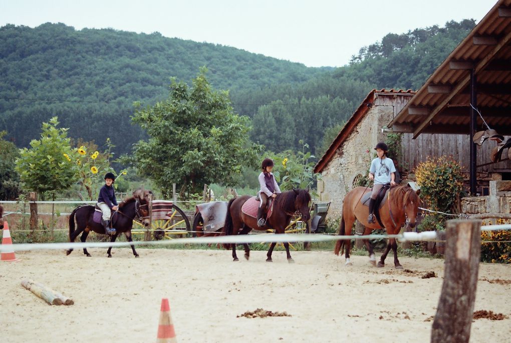 Les chevaux de LA SIMIOUNE (Près de BOLLENE dans le VAUCLUSE)