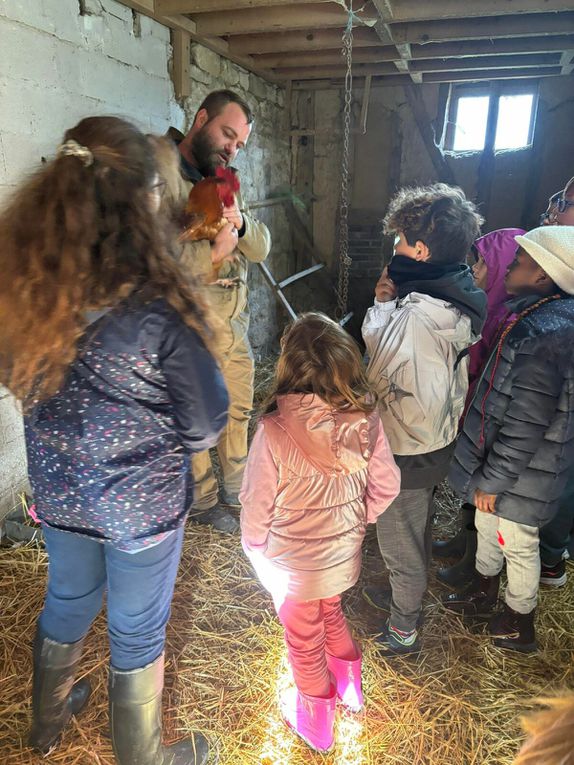 Ce matin nous avons nourri les moutons et cuisiné une recette typique. Cette après midi petite visite des animaux de la ferme. Les oiseaux  Et ensuite fabrication d’un attrape rêves et dégustation de nos rabottes ( spécialité ardennaise )