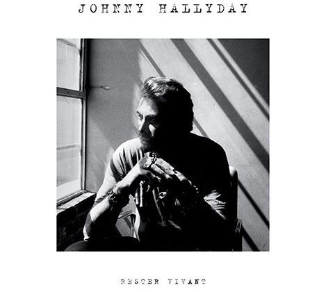 Nouvelle et énième tournée pour Johnny Hallyday, dès l'été 2015.