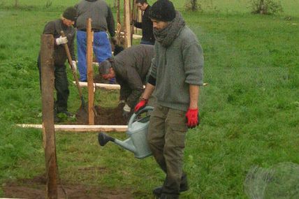 Plantons des arbres pour la biodiversité 