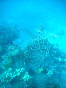 Les plages et les fonds sous marins de Bali