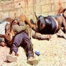 Nass El Ghiwan - Sabra O Shatila 