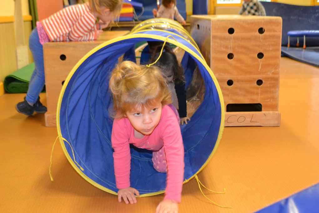 Depuis la rentrée, nous bénéficions du matériel Educ'Gym de la SCOL. Nous rampons, grimpons, marchons en équilibre, sautons, passons par dessus par dessous...