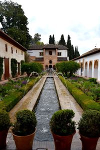 La Alhambra Granada