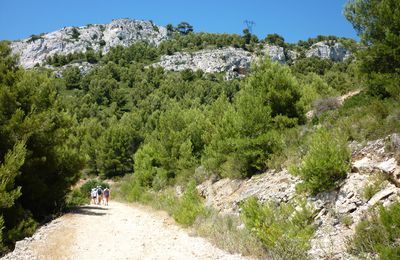 la grotte chelo , parmis les plus belles peintures rupestres de Provence