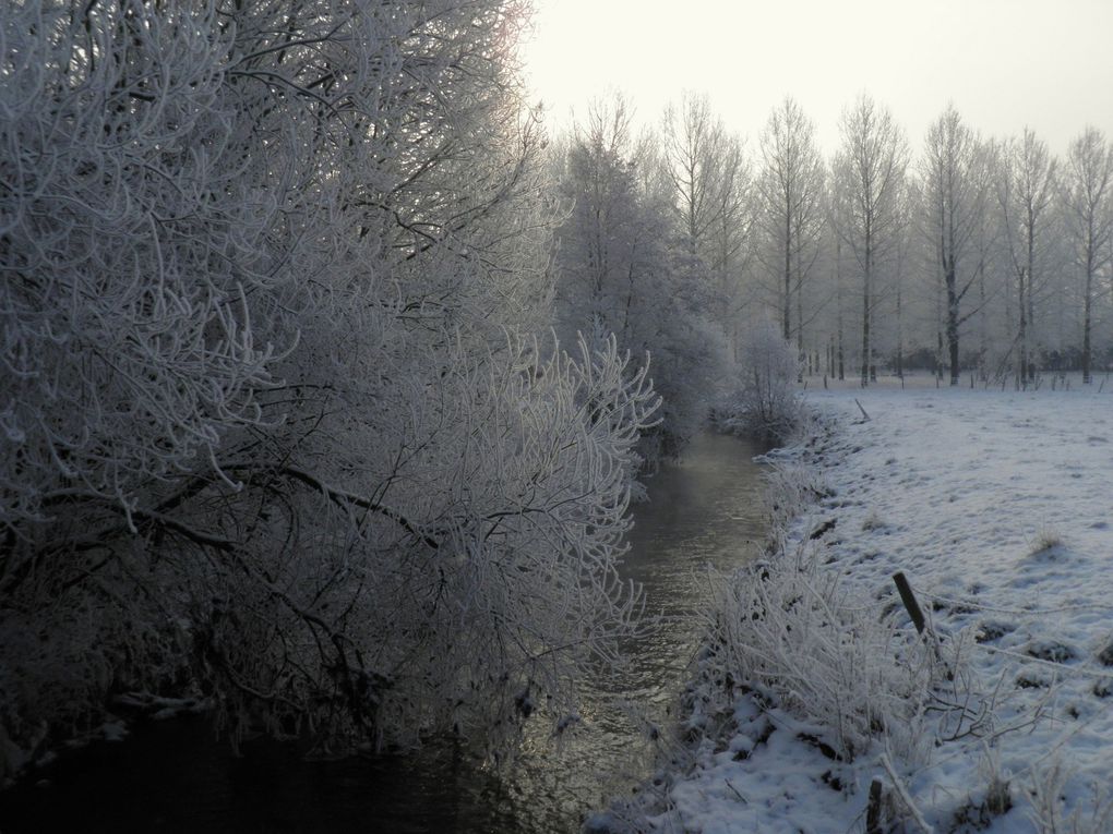 Promenade à Braives, dans des paysages d'hiver.
Fotos of Belgium in winter.