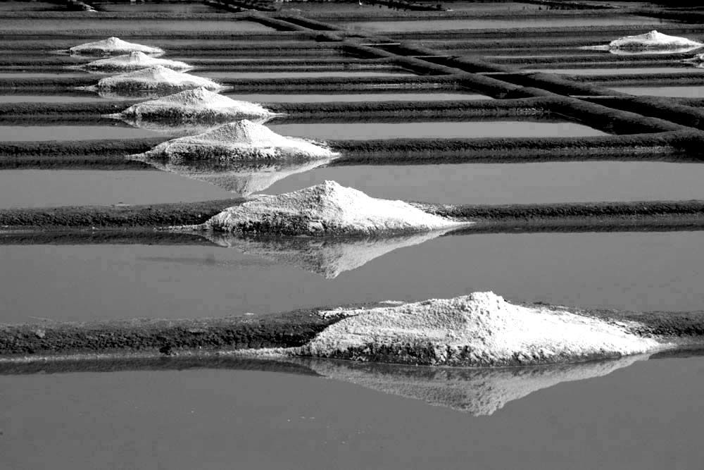 Album - Les Marais-salants de Guerande en noir et blanc