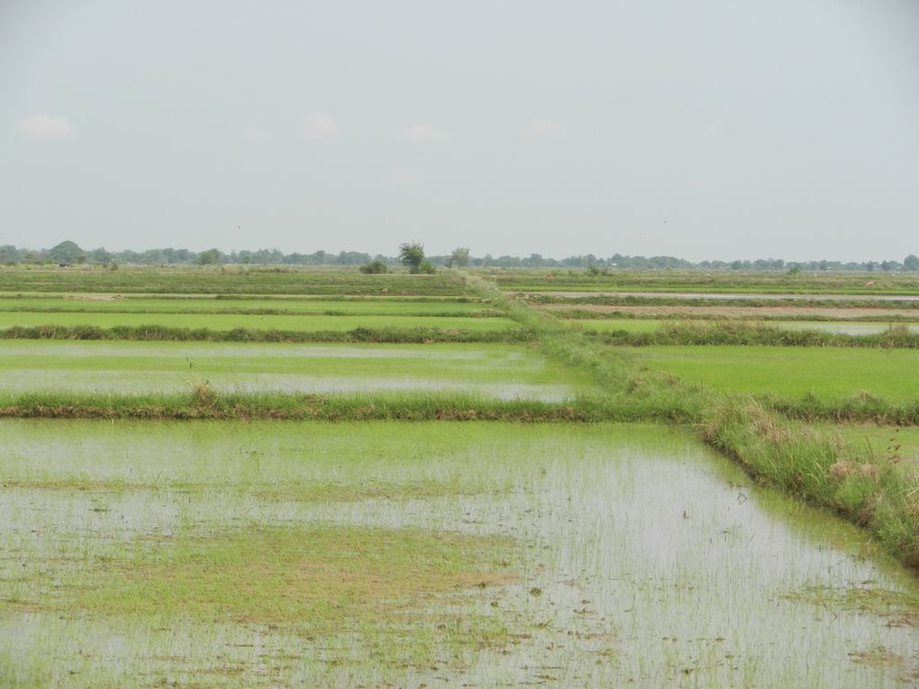 Album - De-Battambang-a-Siem-Reap