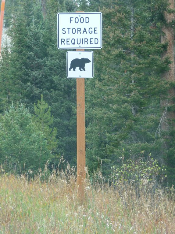 Album - 15.Yellowstone (Wyoming-octobre)