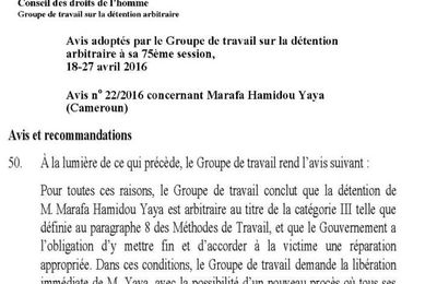 Avis et recommandation du  Groupe de Travail sur la Détention Arbitraire de l'ONU concernant Marafa Hamidou Yaya.