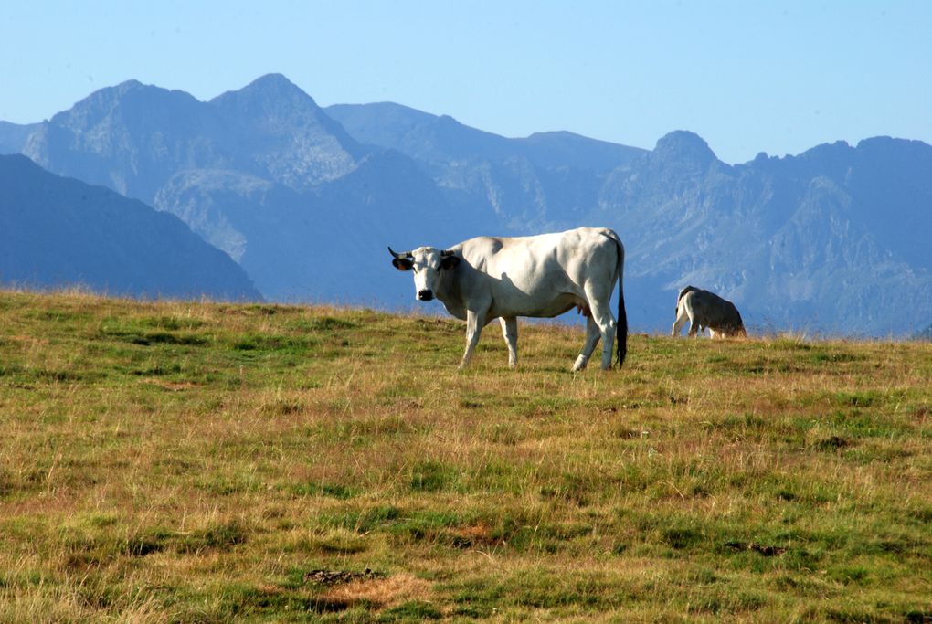 Tarascon sur Ariège