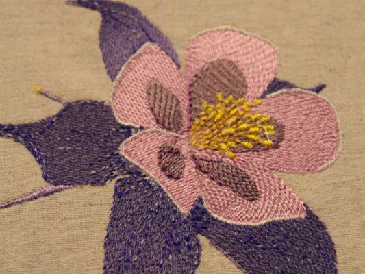 Broderie florale: ancolie + bonus