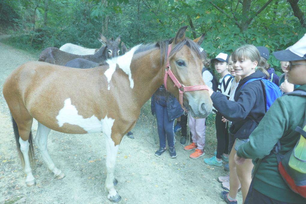 Le séjour des 6è à St Etienne de Baïgorry (21/09-23/09)