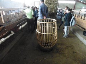 6e : Visite d'une ferme à Roquiague