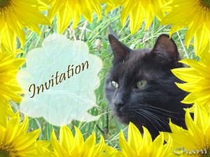 Cartes Paroles De Chat Printa Caramba