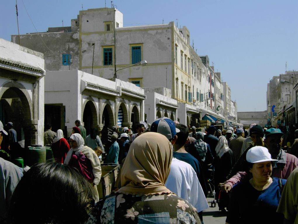 voyages organisés au maroc dans différentes localités.
les traces de mes voyages