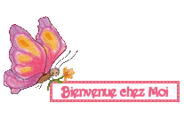 Marquoir mystère Annick Abrial 2