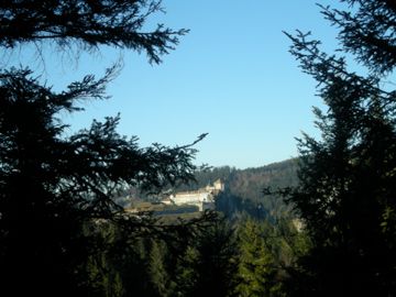 Des paysages d'automne magnifiques et une vue des Alpes imprenable