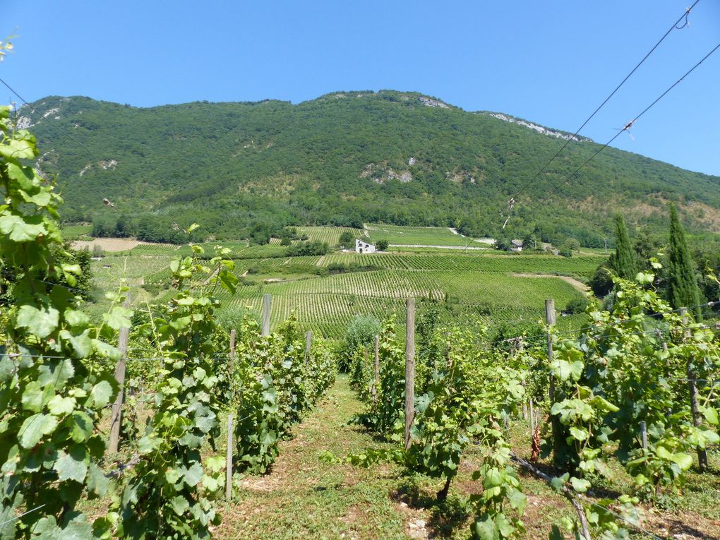 Trouver Savoie (2)