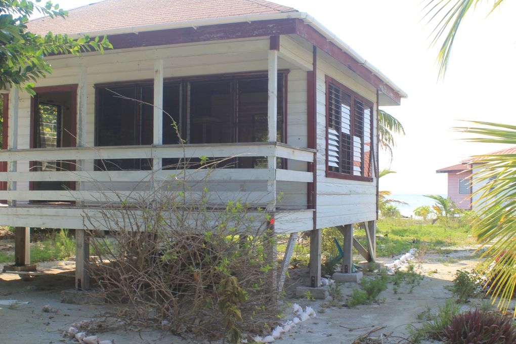 Album - SAPOTILLES-CAYS-LE-SUD-DU-SUD