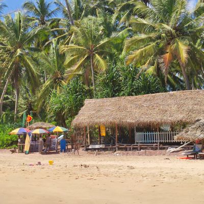 SRI-LANKA : Tangalle,  un petit paradis vert au bord de l'océan