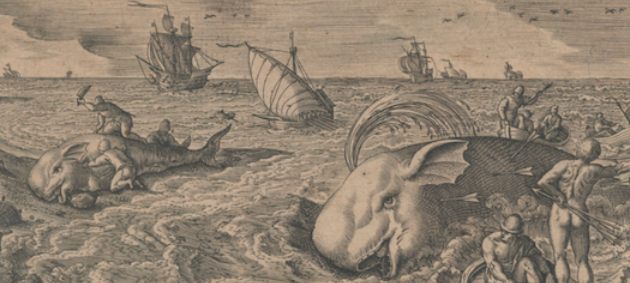 « Monstres des profondeurs » : quand les baleines hantent l’imaginaire et la science, au MIT Museum